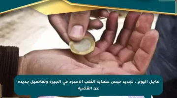 عاجل اليوم.. تجديد حبس عصابة الثقب الأسود في الجيزة وتفاصيل جديدة عن القضية